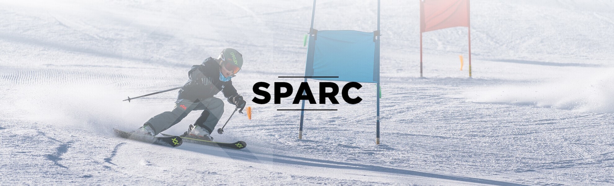 Picture of SPARC (6-13)